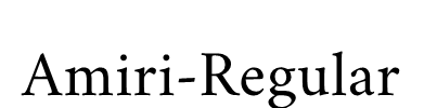 Amiri-Regular