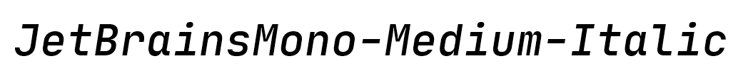 JetBrainsMono-Medium-Italic