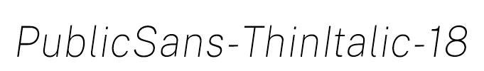 PublicSans-ThinItalic-18