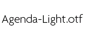 Agenda-Light