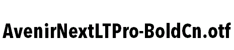 AvenirNextLTPro-BoldCn