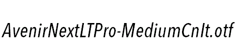 AvenirNextLTPro-MediumCnIt