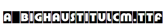 a_BighausTitulCm