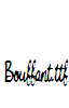 Bouffant