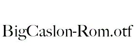 BigCaslon-Rom