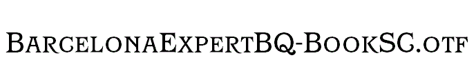 BarcelonaExpertBQ-BookSC