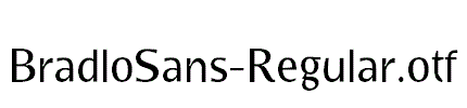 BradloSans-Regular
