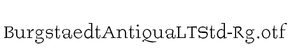 BurgstaedtAntiquaLTStd-Rg