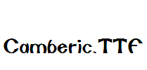 Camberic