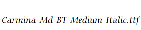 Carmina-Md-BT-Medium-Italic