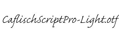 CaflischScriptPro-Light