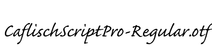 CaflischScriptPro-Regular