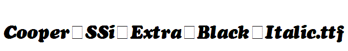 Cooper-SSi-Extra-Black-Italic