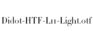 Didot-HTF-L11-Light
