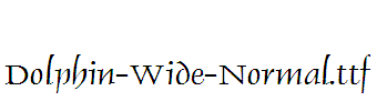 Dolphin-Wide-Normal