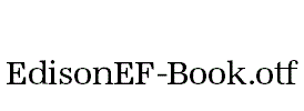 EdisonEF-Book