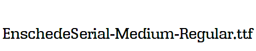 EnschedeSerial-Medium-Regular