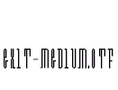 Exit-Medium
