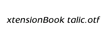 ExtensionBookItalic
