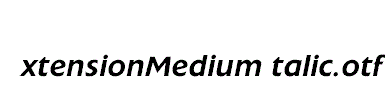 ExtensionMediumItalic