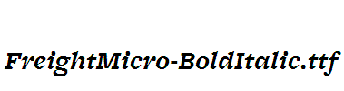 FreightMicro-BoldItalic