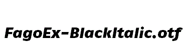 FagoEx-BlackItalic