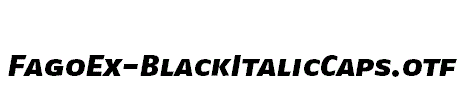 FagoEx-BlackItalicCaps
