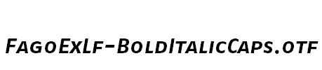FagoExLf-BoldItalicCaps