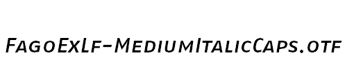 FagoExLf-MediumItalicCaps
