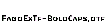 FagoExTf-BoldCaps