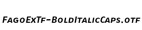 FagoExTf-BoldItalicCaps