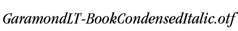 GaramondLT-BookCondensedItalic