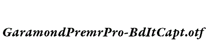 GaramondPremrPro-BdItCapt