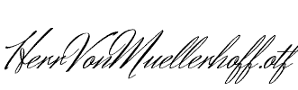 HerrVonMuellerhoff