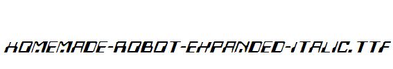 Homemade-Robot-Expanded-Italic