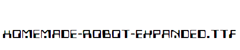 Homemade-Robot-Expanded