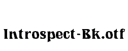 Introspect-Bk
