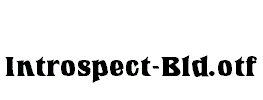 Introspect-Bld