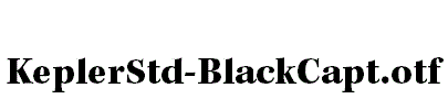KeplerStd-BlackCapt