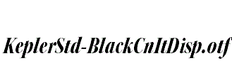 KeplerStd-BlackCnItDisp