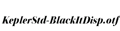 KeplerStd-BlackItDisp