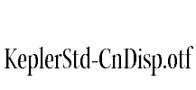 KeplerStd-CnDisp