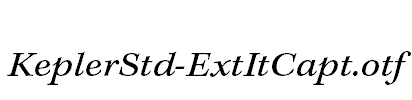KeplerStd-ExtItCapt