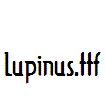 Lupinus