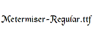 Metermiser-Regular
