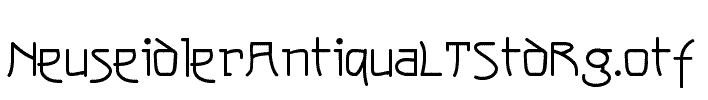 NeuseidlerAntiquaLTStdRg