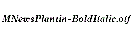 MNewsPlantin-BoldItalic