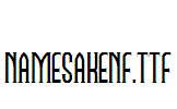 NamesakeNF