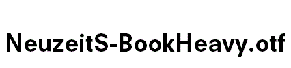 NeuzeitS-BookHeavy