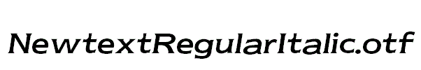 NewtextRegularItalic